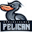 @pelican2555