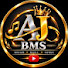 hK6ELT7fJc0-channel-avatar-AJ BMS