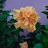 @AdityaKumar-v3p2v