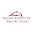 Islamic Center of Brushy Creek (ICBC)