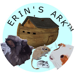 Erin's Ark net worth