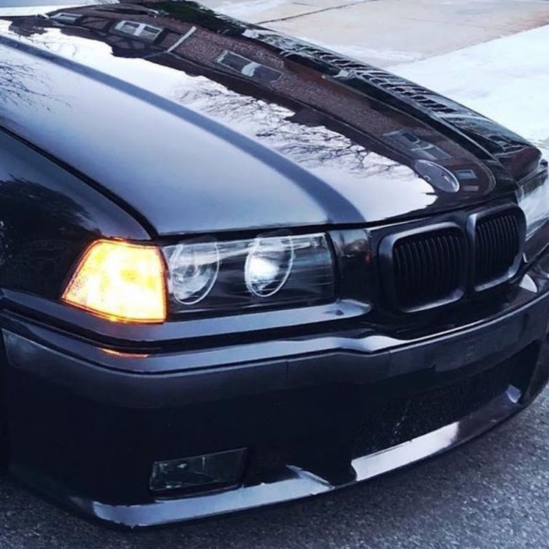 M3FERD