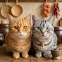 호두&보리 Kitchen