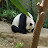 @OP_SunPanda