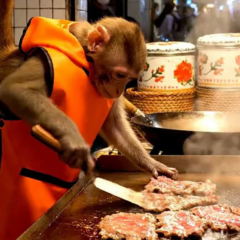 Monkey Chef Local Delicacies