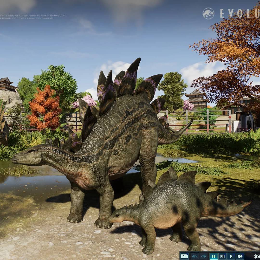 Post from Evolution Square