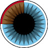 3Blue1BrownJapan