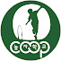Channel Image