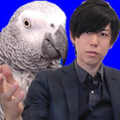 イカぽ弁当【読み上げとペットch】