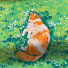 lLqmuSrIIIo-channel-avatar-Murshida