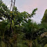 rK_fG0oN8rY-channel-avatar-Motivation Kannada motivation