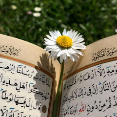 القُرْآنُ الكَرِيمٌ 📖