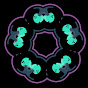 Modular Fungi
