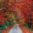 r4UJzTiapp8-channel-avatar-Wonder in Silence