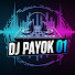 FDwf4s-4B2Q-channel-avatar-Payok 0_1