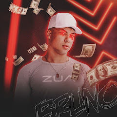 Bruno Barreto net worth