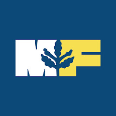 Mevzu Fener