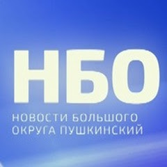 «Пушкинский: Новости большого округа» channel logo