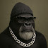 wLlvwYOgqSU-channel-avatar-Film Gorilla and Alicia Jones