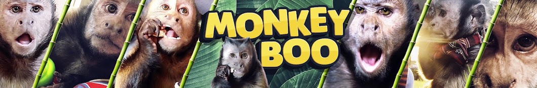 MonkeyBoo YouTube channel avatar