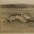 Qxj-6cDnULU-channel-avatar-Lobo1894