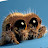 @olsirmonkey's avatar