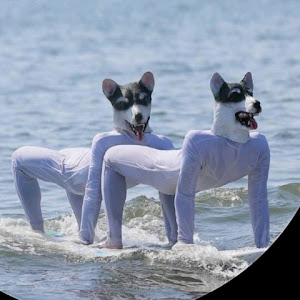 UCPsqFfIOZM8J69Zfj8Ok60g YouTube channel image