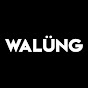 Walüng Patagonia Festival logo