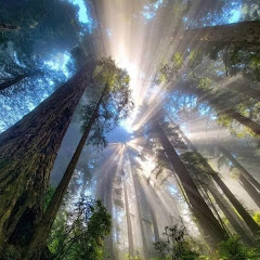 Spirit of Now