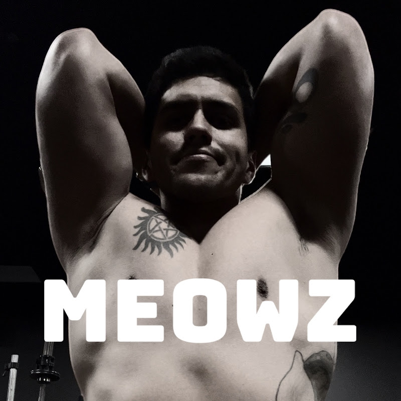Captain Meowz