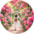 Channel Image