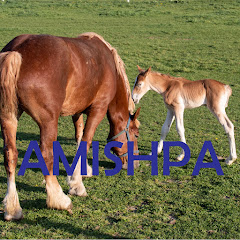 AmishPA  Avatar