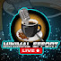 hX67Ki9L_uw-channel-avatar-Minimal Effort Live