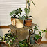 k5ZfA7AcYg8-channel-avatar-Bea-Keeper of Plants
