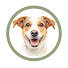 E_V1s_ribaU-channel-avatar-TAILTUTOR