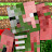 @MrPigMan-BR