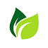 JfAgup741Sc-channel-avatar-Garden Green
