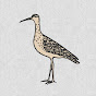 Call of the Curlew logo