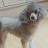 @윤서영-r7y