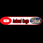 Animal Cage logo