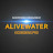 AliveWater Kickboxing Pro