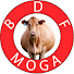 R3t3ugH3oak-channel-avatar-Brar Dairy farm moga