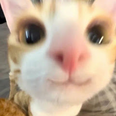 ふ