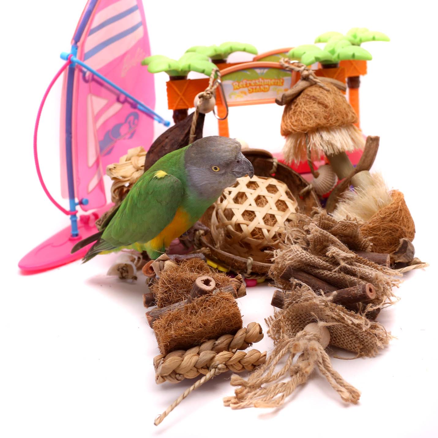 Post from Parrot Wizard