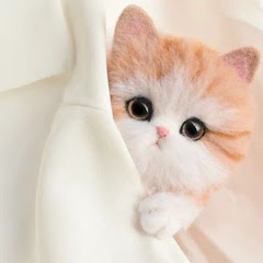 50代の老後の話