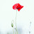 @clear_morning