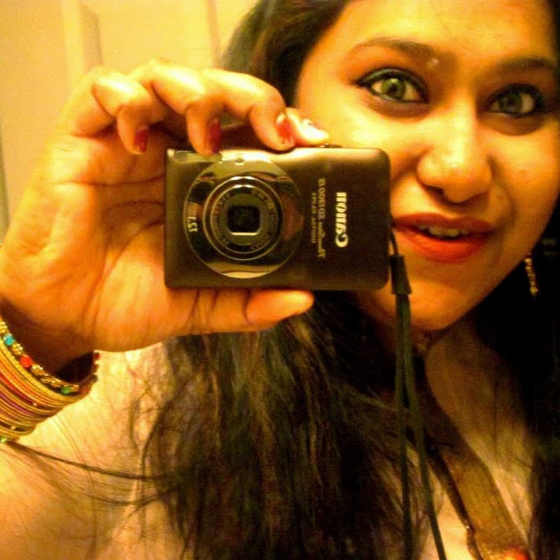 Salina's Journal - Life in the Usa