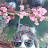 @pfaprado's avatar