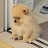 @user-iun7mp7477