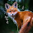 @Fency_the_fox